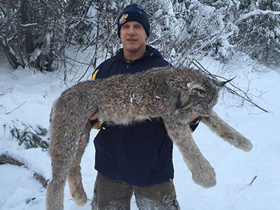 Canadian Lynx Hunt