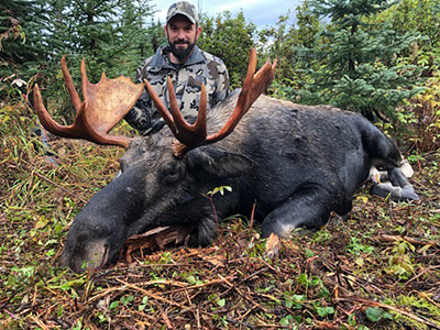 Moose Hunt in BC