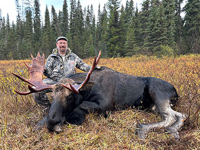 Bulll Moose Hunt