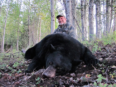 Black Bear Hunt in BC