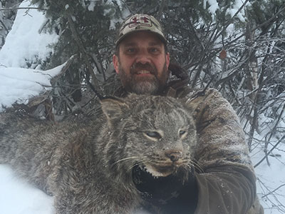 BC Lynx Hunt