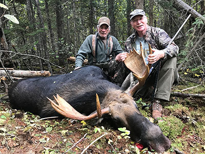 Moose Hunting in BC