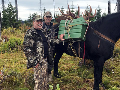 Moose Hunting in BC