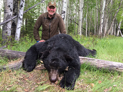 Bear Hunting in BC