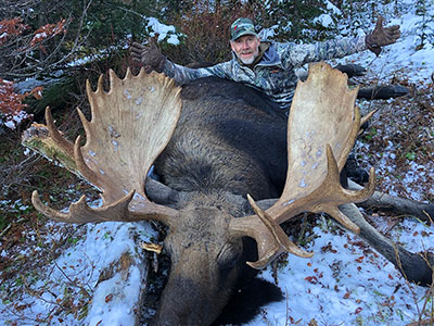 Moose Hunting in BC