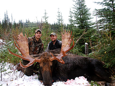 Moose Hunting in BC