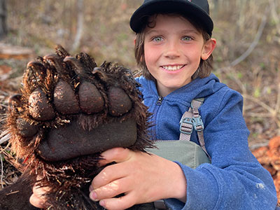 Black Bear Hunting BC