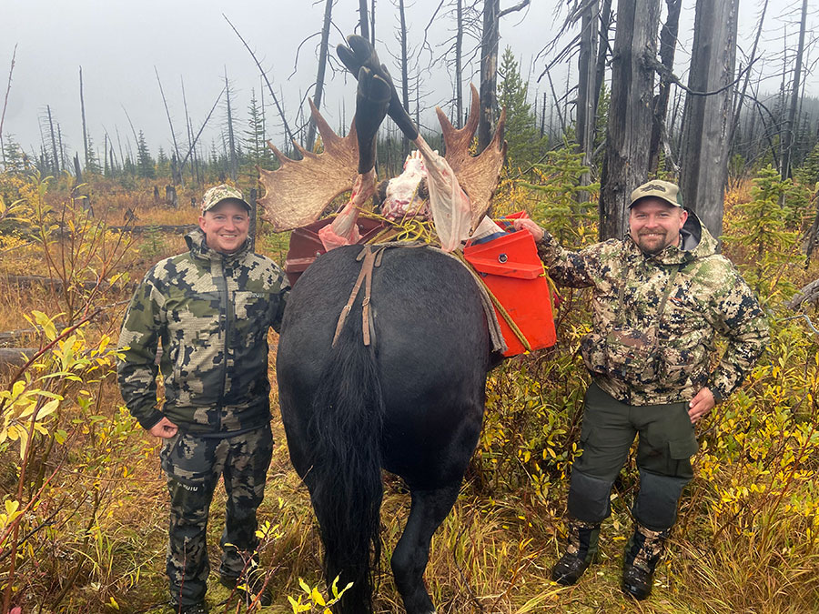 Moose Hunting in BC