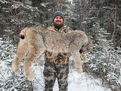 Canada Lynx Hunting