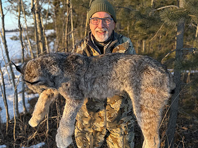 Hunt for Cougar/Lynx