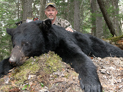 Bear Hunting in BC