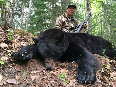 Bear Hunting in BC