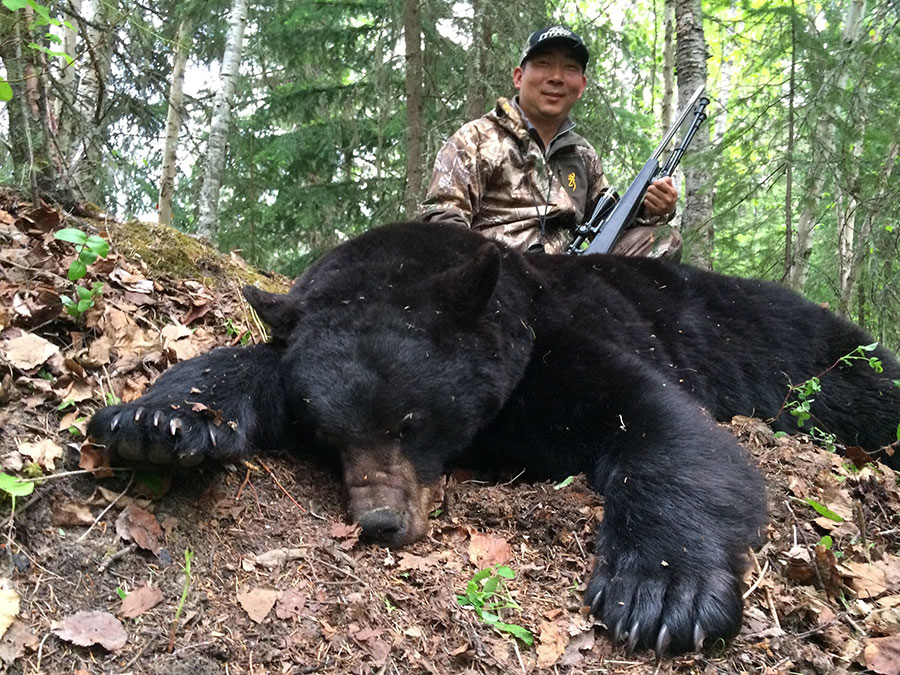 BC Bear Hunts