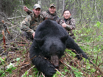 BC Black Bear Hunts