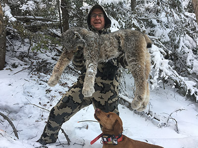 Lynx Hunt in BC