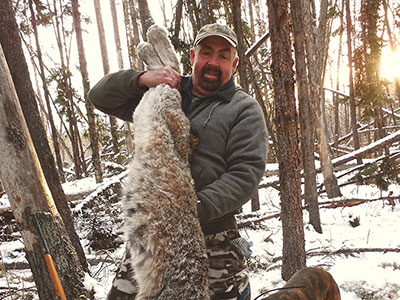 BC Lynx Hunt
