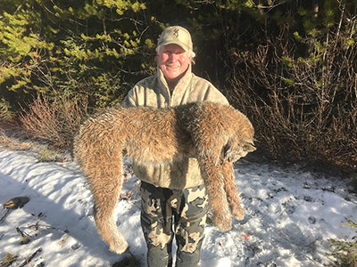 Canadian Lynx Hunt