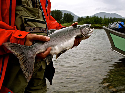 River Fishing in BC