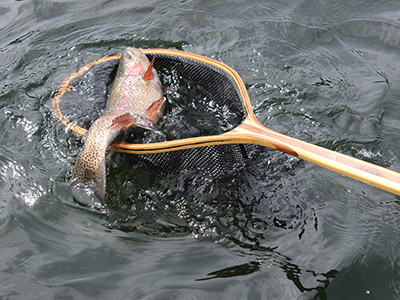 Steelhead Fishing