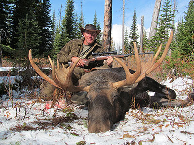 Moose Hunts in BC