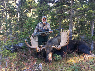 Moose Hunting in BC