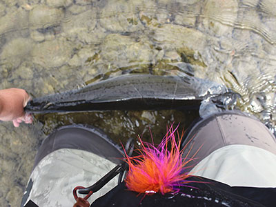 BC Fishing Adventures