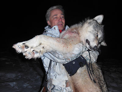 Winter Wolf Hunt in BC