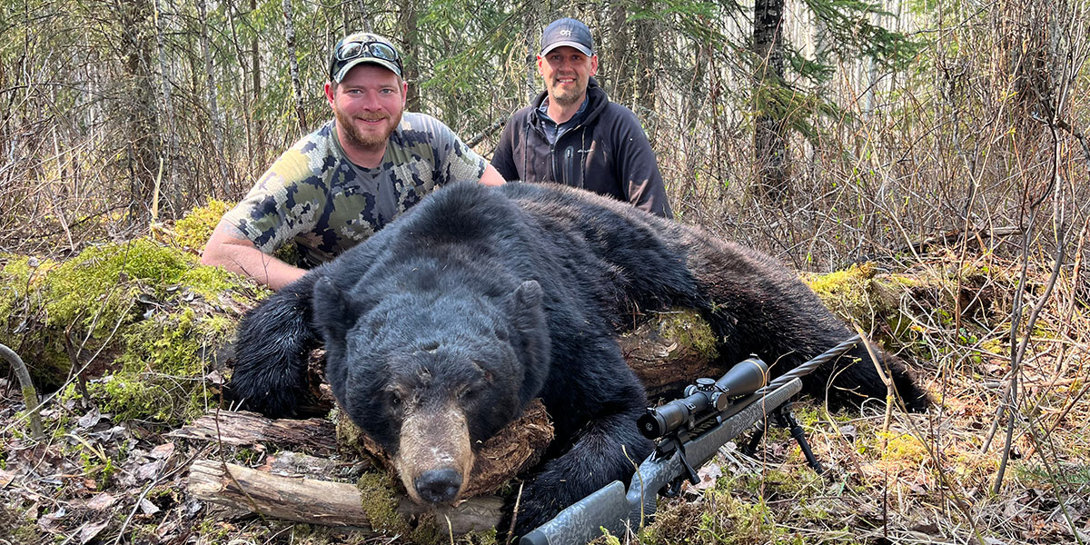 BC Black Bear Hunting